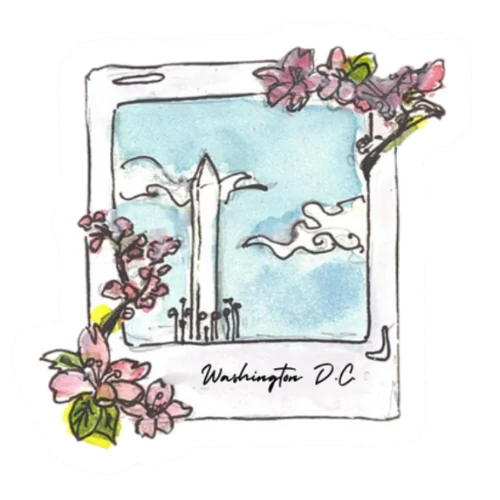 Washington DC polaroid sticker