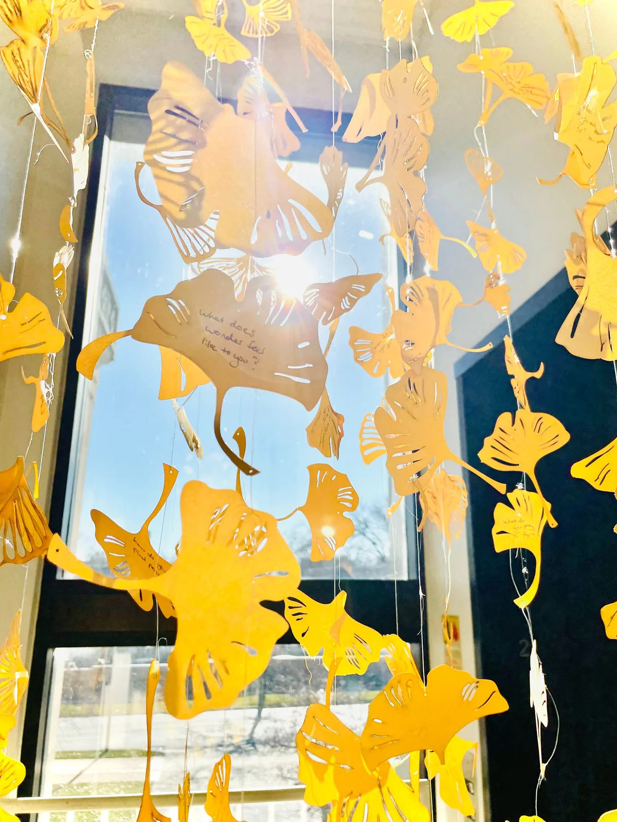 Our small wonders installation in the Kranzberg Library stairwell