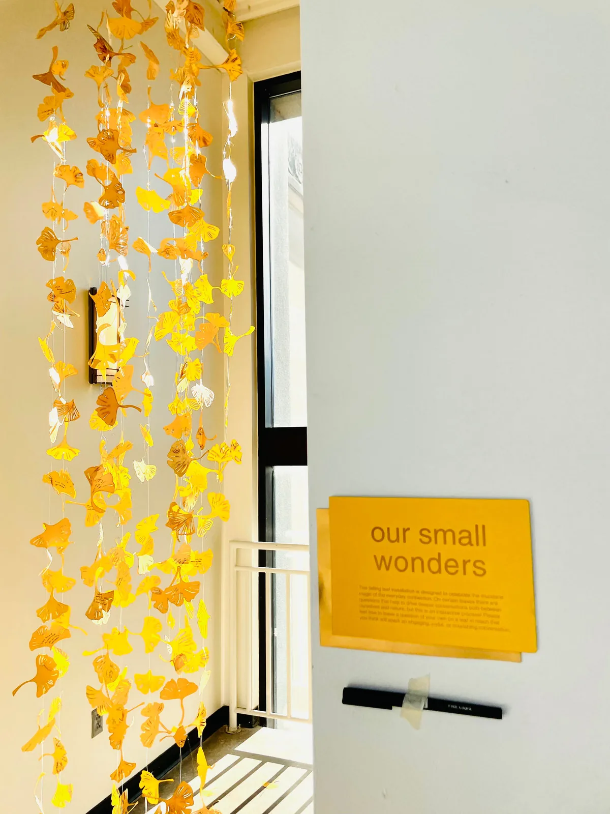 Our small wonders installation in the Kranzberg Library stairwell