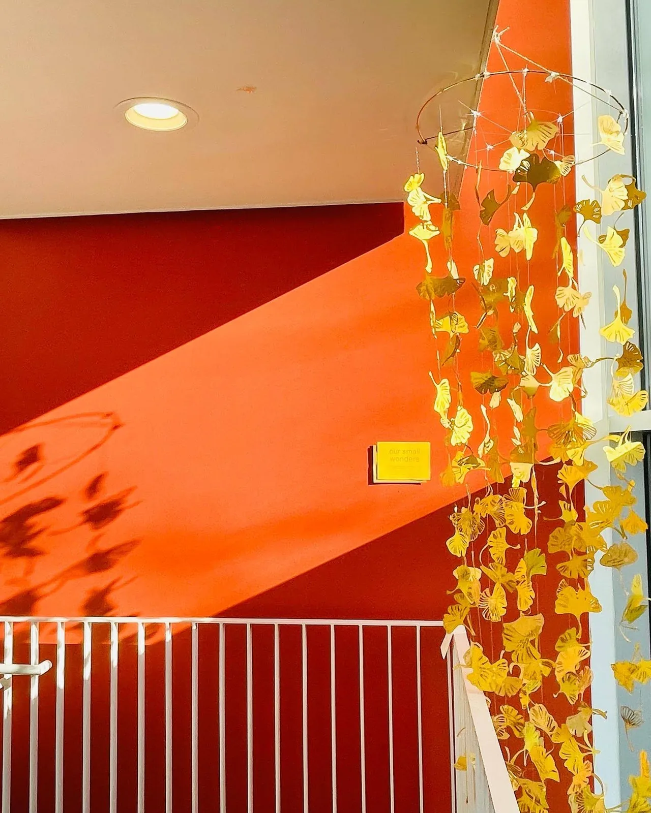 Our small wonders installation in the Kranzberg Library stairwell